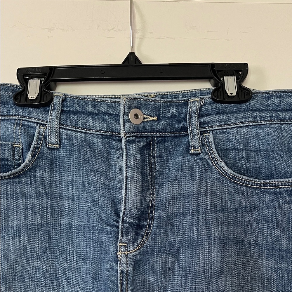 Pilcro and the Letter Press | (29) Slim Boyfriend Denim Shorts - Picture 3 of 8